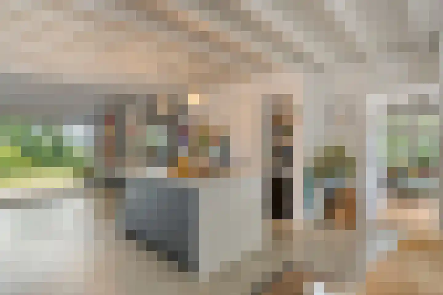 Nistelrooise Baan 8 Schaijk thumbnail 17