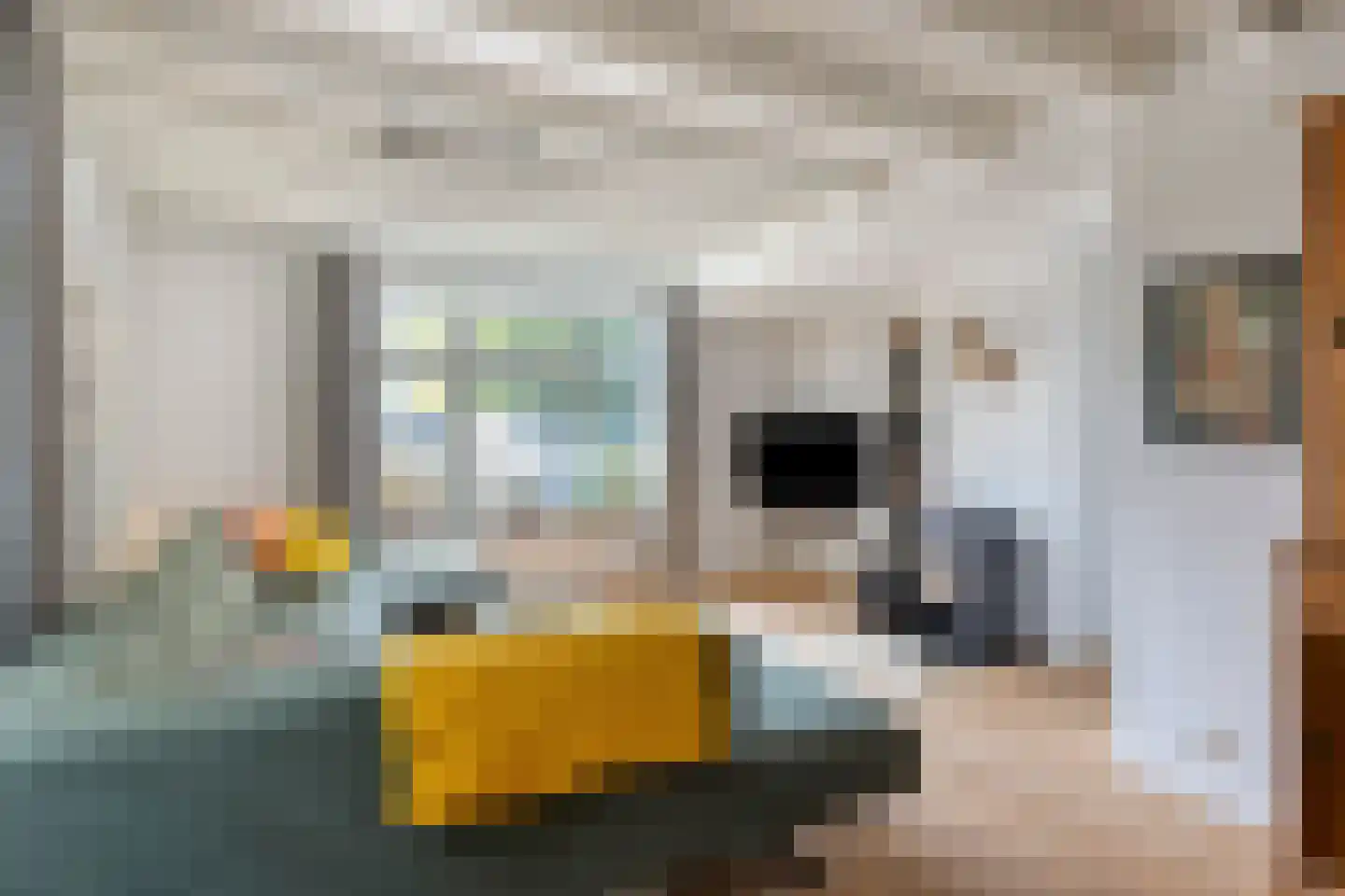 Nistelrooise Baan 8 Schaijk thumbnail 30
