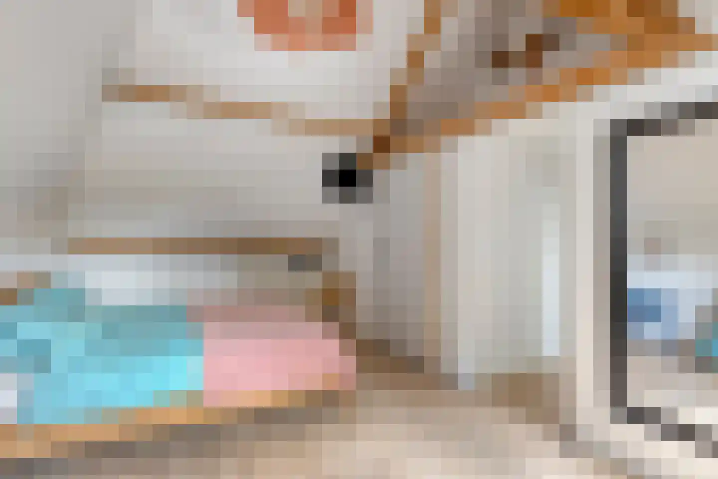 Nistelrooise Baan 8 Schaijk thumbnail 36