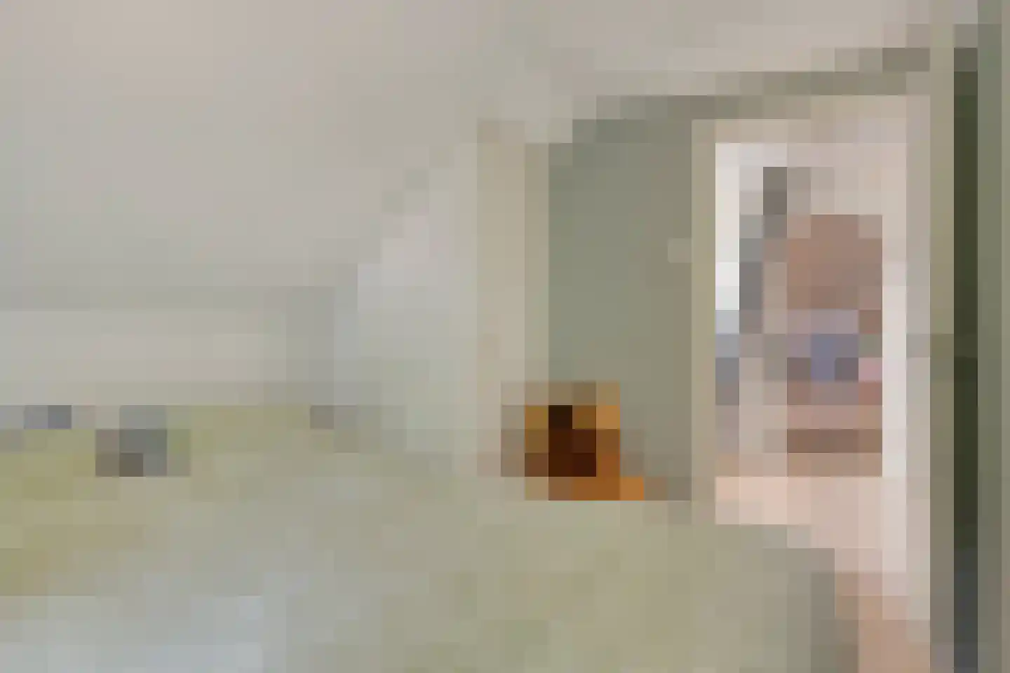 Nistelrooise Baan 8 Schaijk thumbnail 39