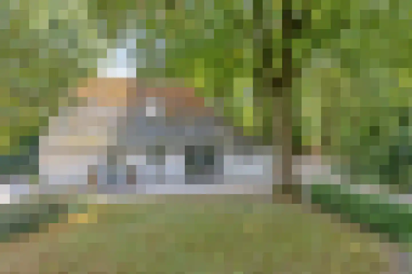 Nistelrooise Baan 8 Schaijk thumbnail 45