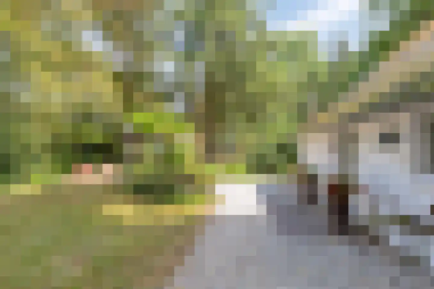 Nistelrooise Baan 8 Schaijk thumbnail 47