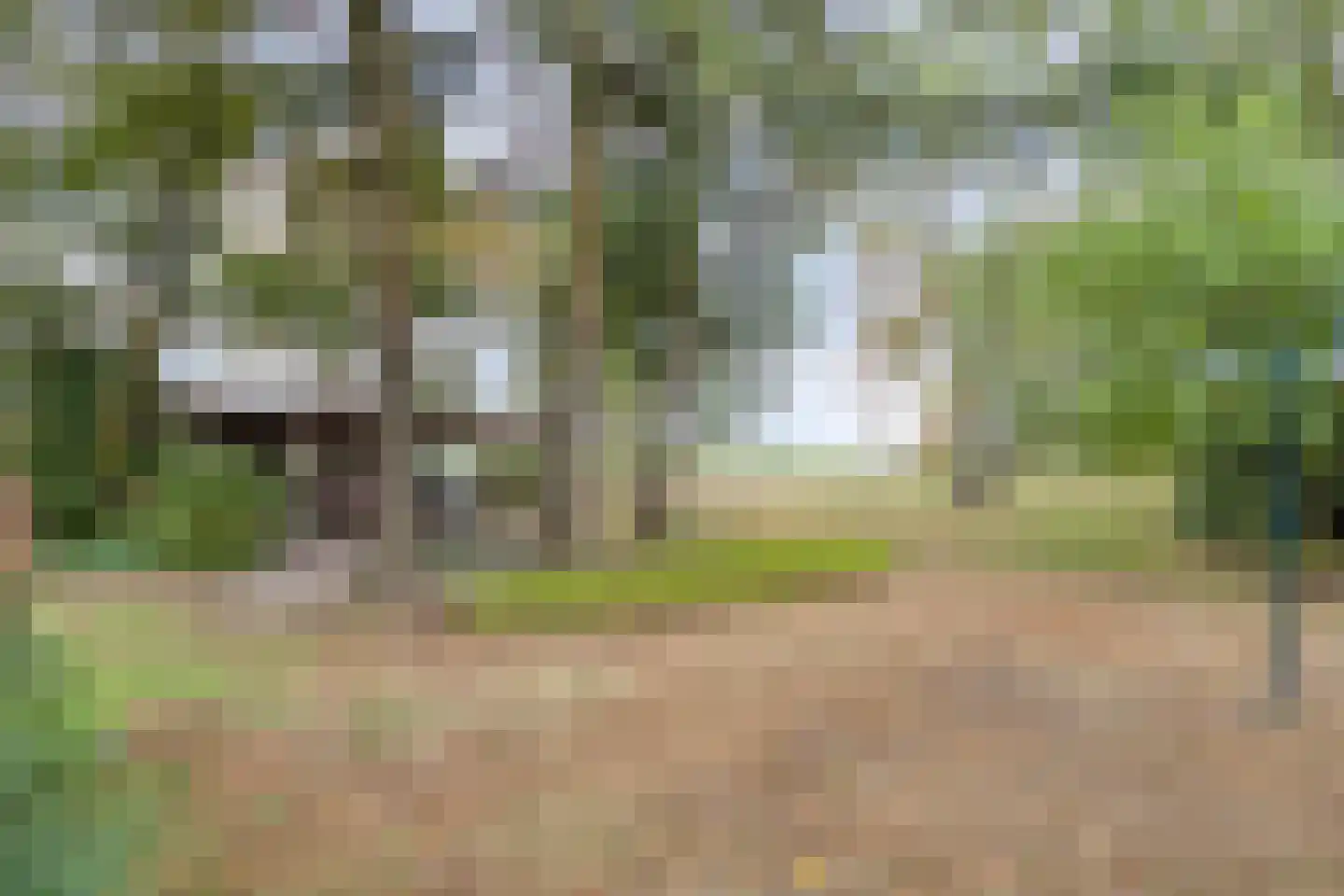 Nistelrooise Baan 8 Schaijk thumbnail 49
