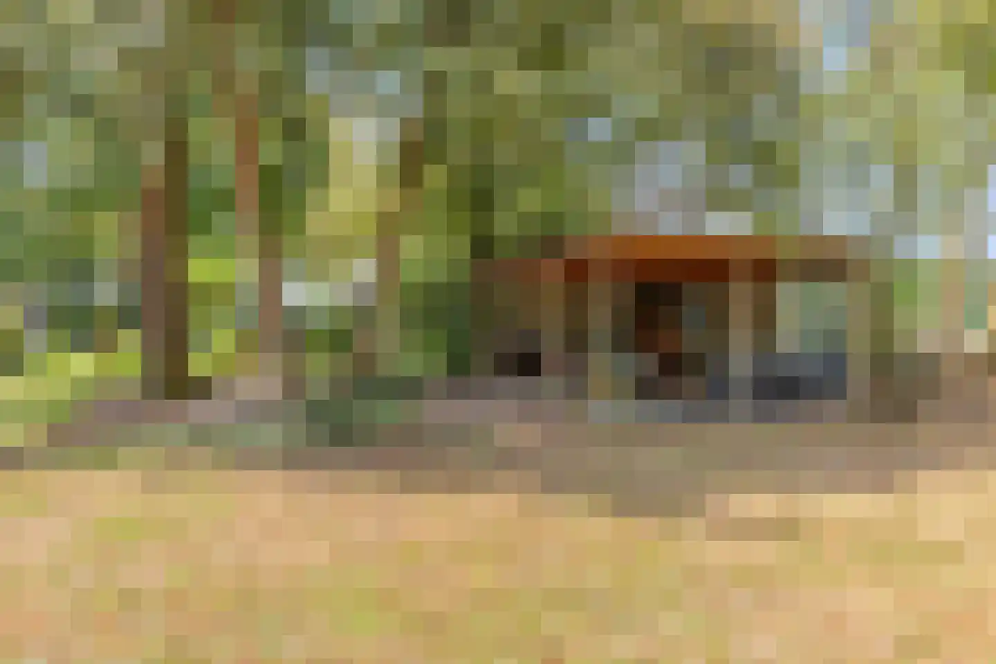 Nistelrooise Baan 8 Schaijk thumbnail 50