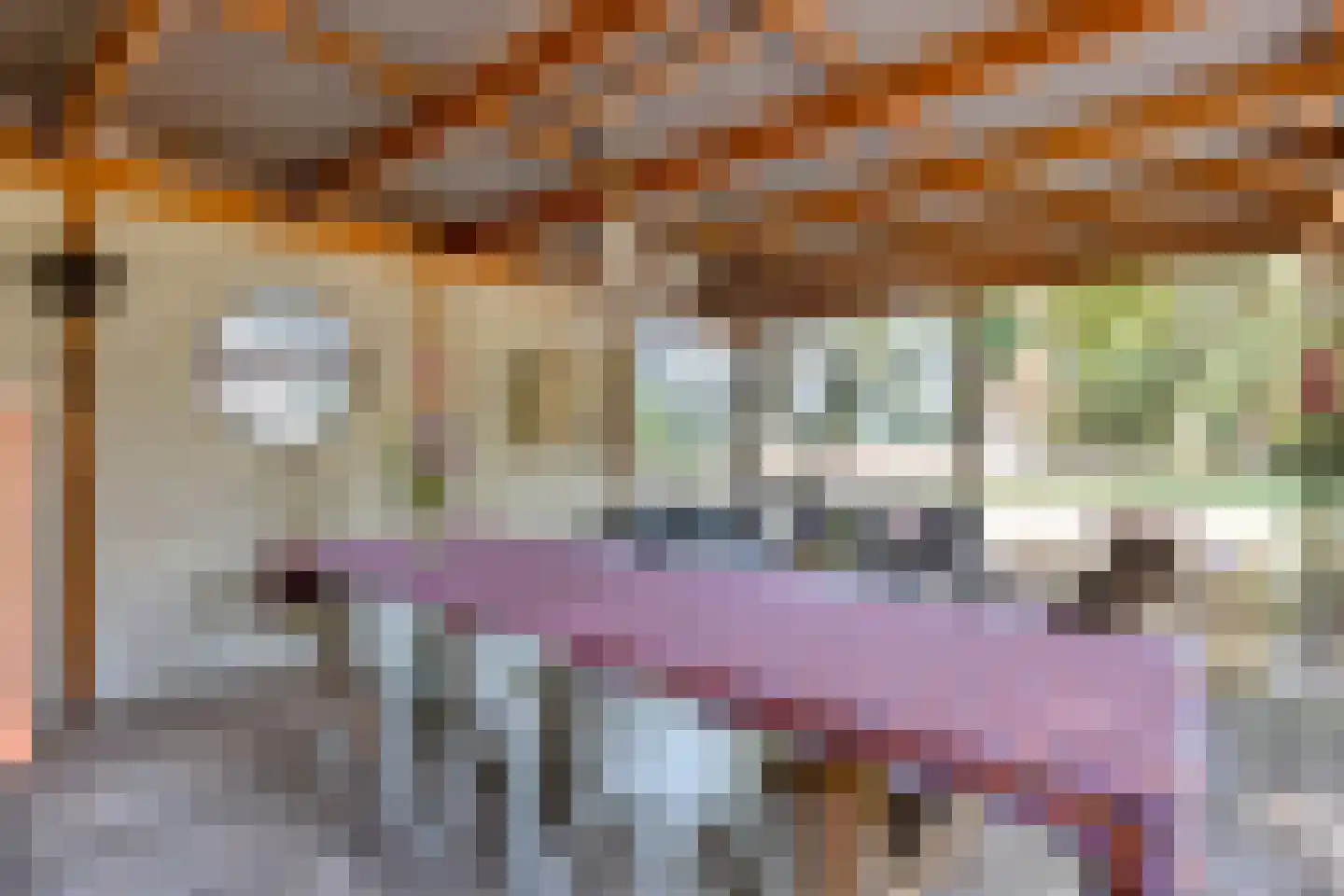 Nistelrooise Baan 8 Schaijk thumbnail 52