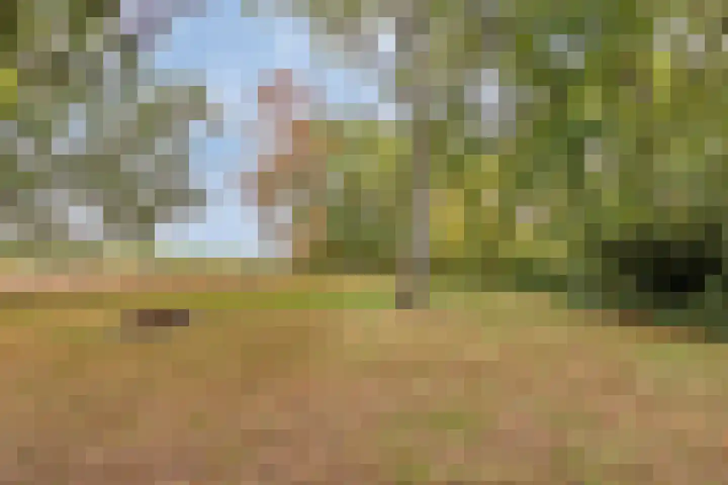 Nistelrooise Baan 8 Schaijk thumbnail 54
