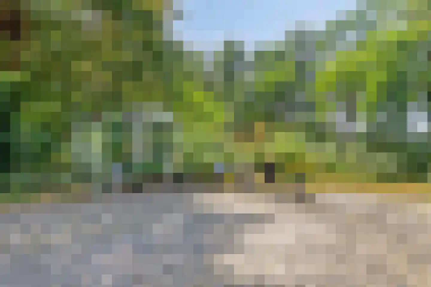 Nistelrooise Baan 8 Schaijk thumbnail 61