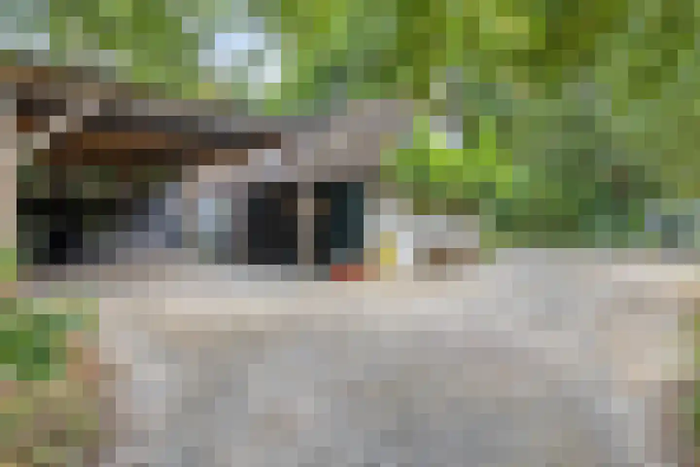 Nistelrooise Baan 8 Schaijk thumbnail 62
