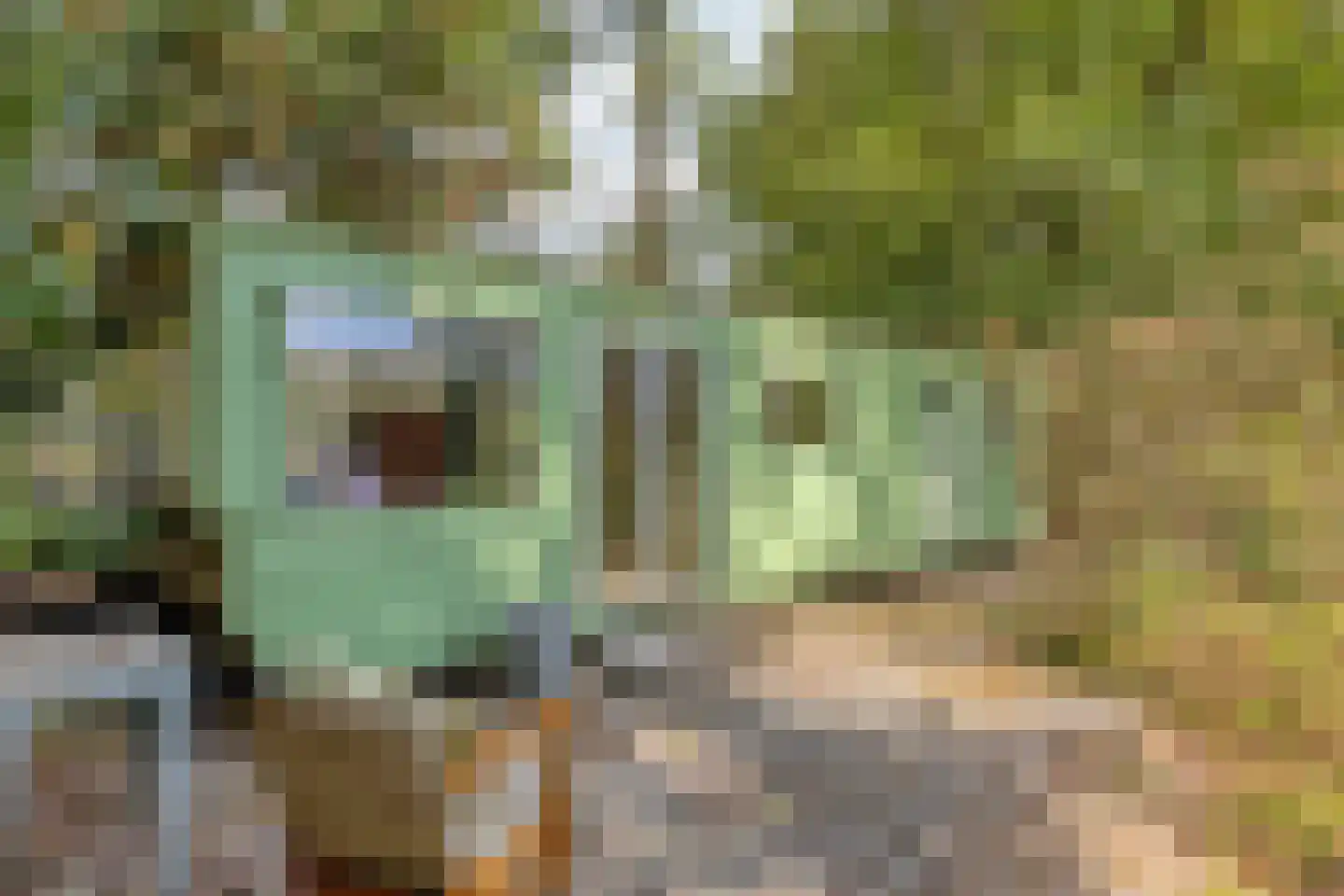 Nistelrooise Baan 8 Schaijk thumbnail 65