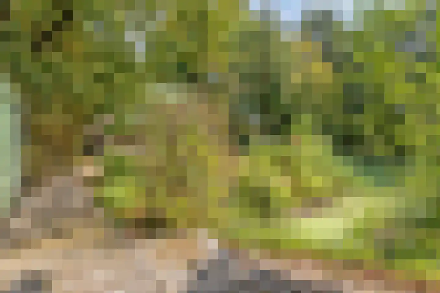 Nistelrooise Baan 8 Schaijk thumbnail 71