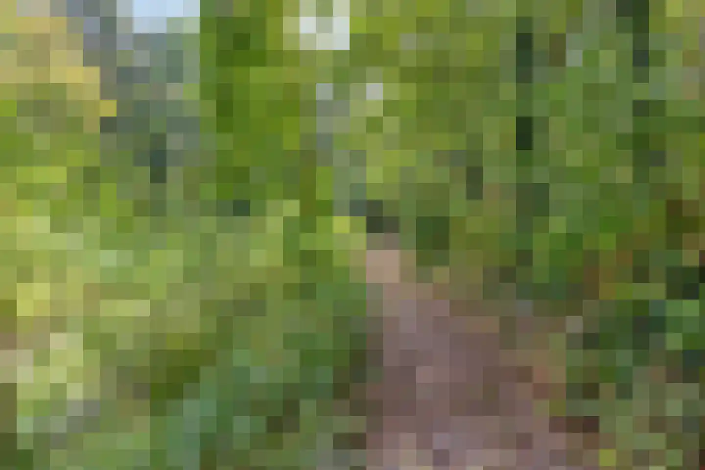 Nistelrooise Baan 8 Schaijk thumbnail 73