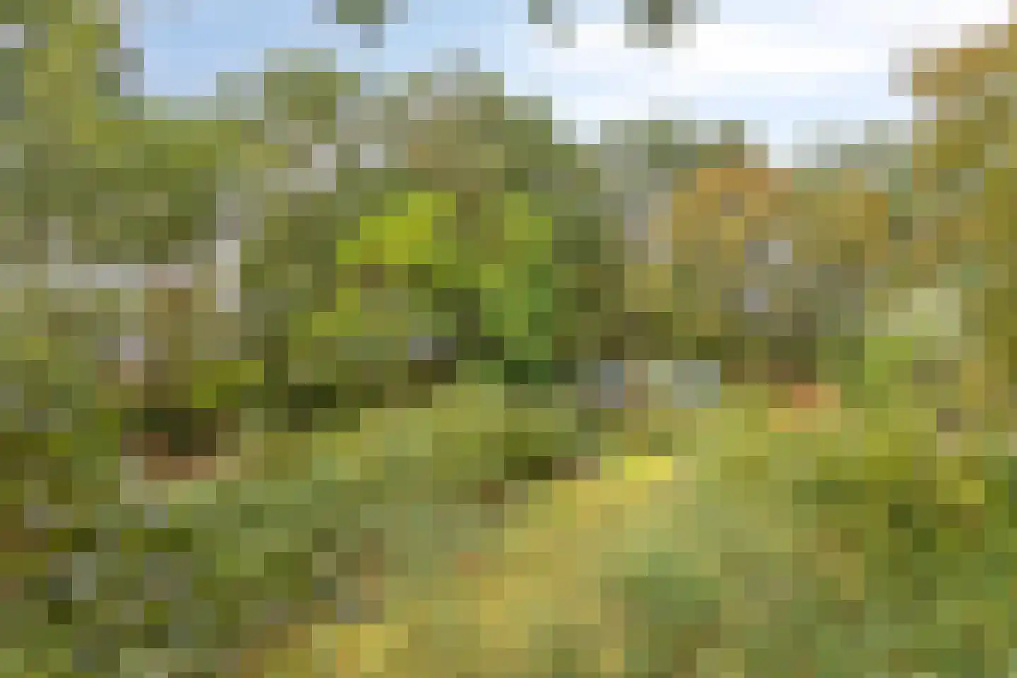 Nistelrooise Baan 8 Schaijk thumbnail 74