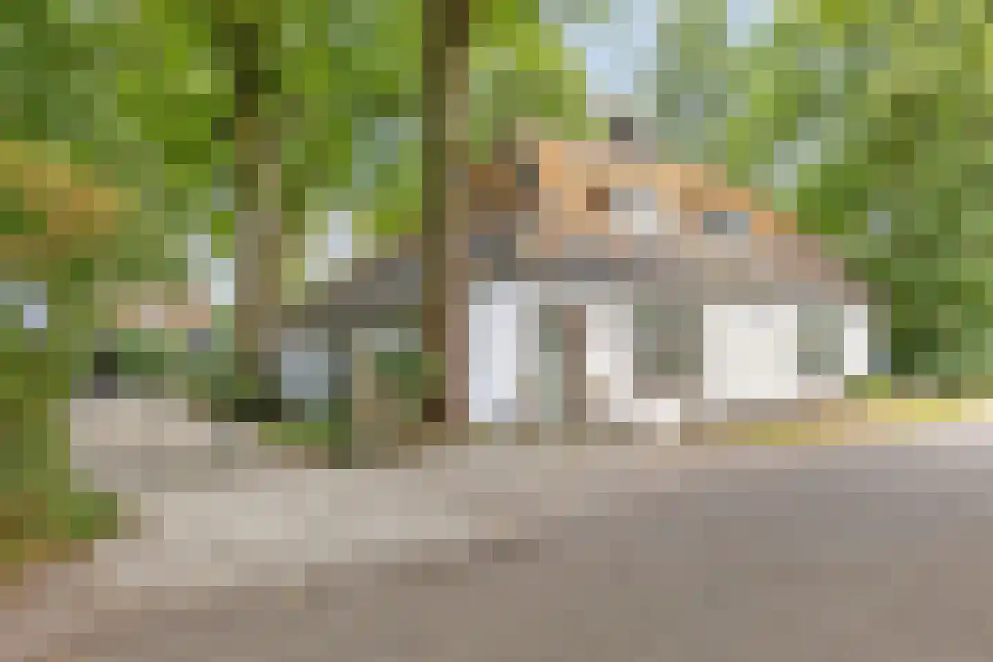 Nistelrooise Baan 8 Schaijk thumbnail 8