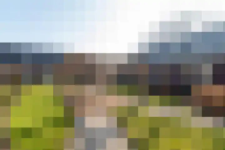 Noabershof op de Esch 2 Rijssen thumbnail 38