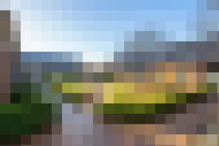 Noabershof op de Esch 2 Rijssen thumbnail 4
