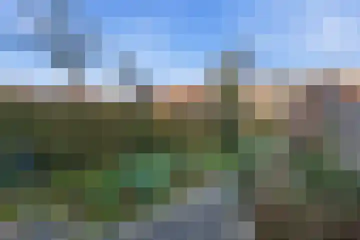 Noachstraat 14 Alblasserdam thumbnail 34