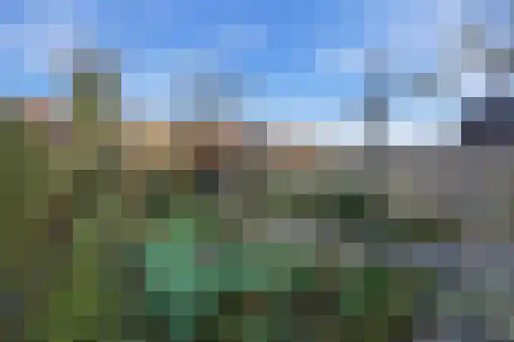 Noachstraat 14 Alblasserdam thumbnail 35
