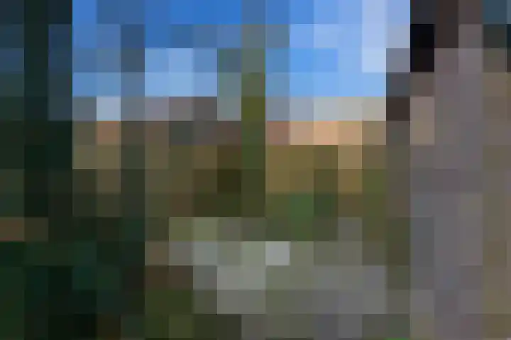 Noachstraat 14 Alblasserdam thumbnail 36