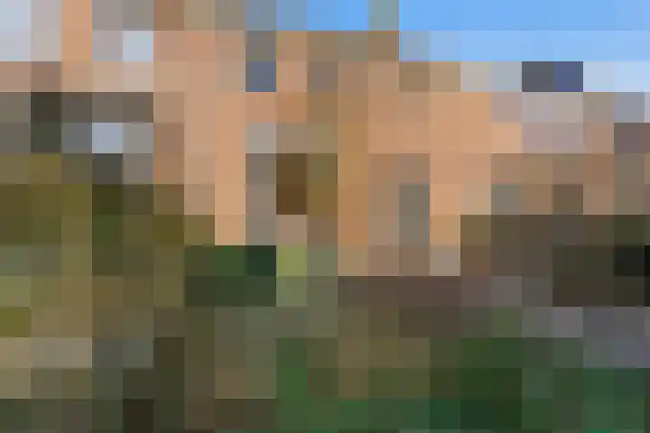 Noachstraat 14 Alblasserdam thumbnail 37