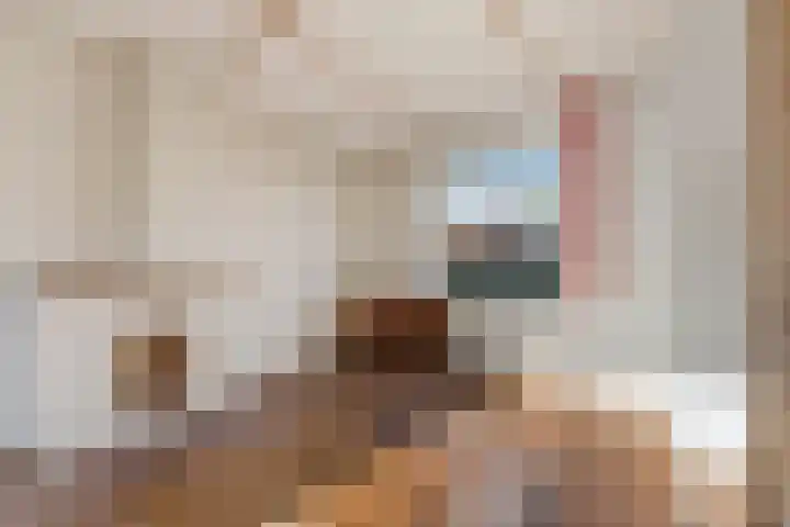 Noachstraat 14 Alblasserdam thumbnail 7