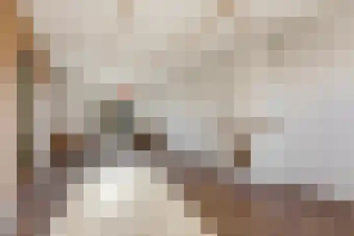 Noachstraat 14 Alblasserdam thumbnail 9