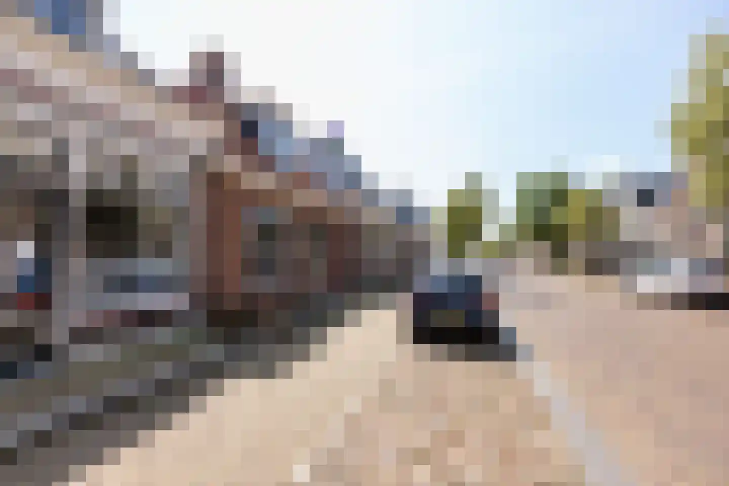 Noard 184 Workum thumbnail 6