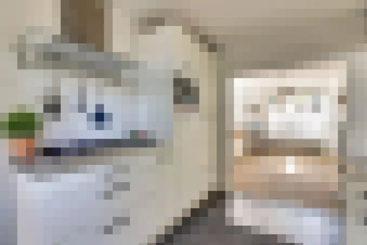 Noard 72 Workum thumbnail 14