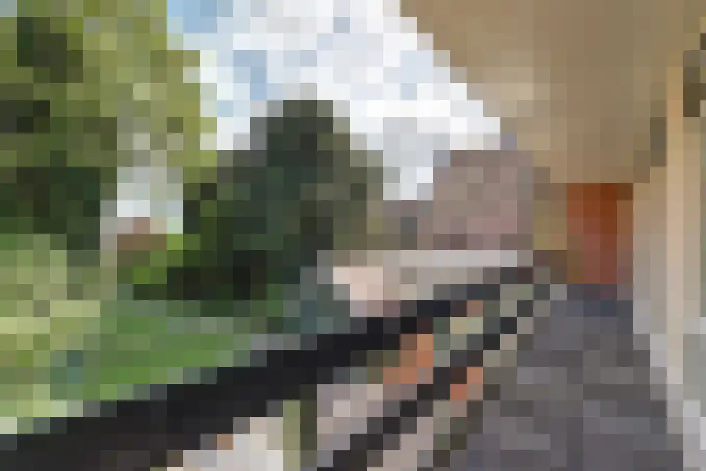 Noard 72 Workum thumbnail 24
