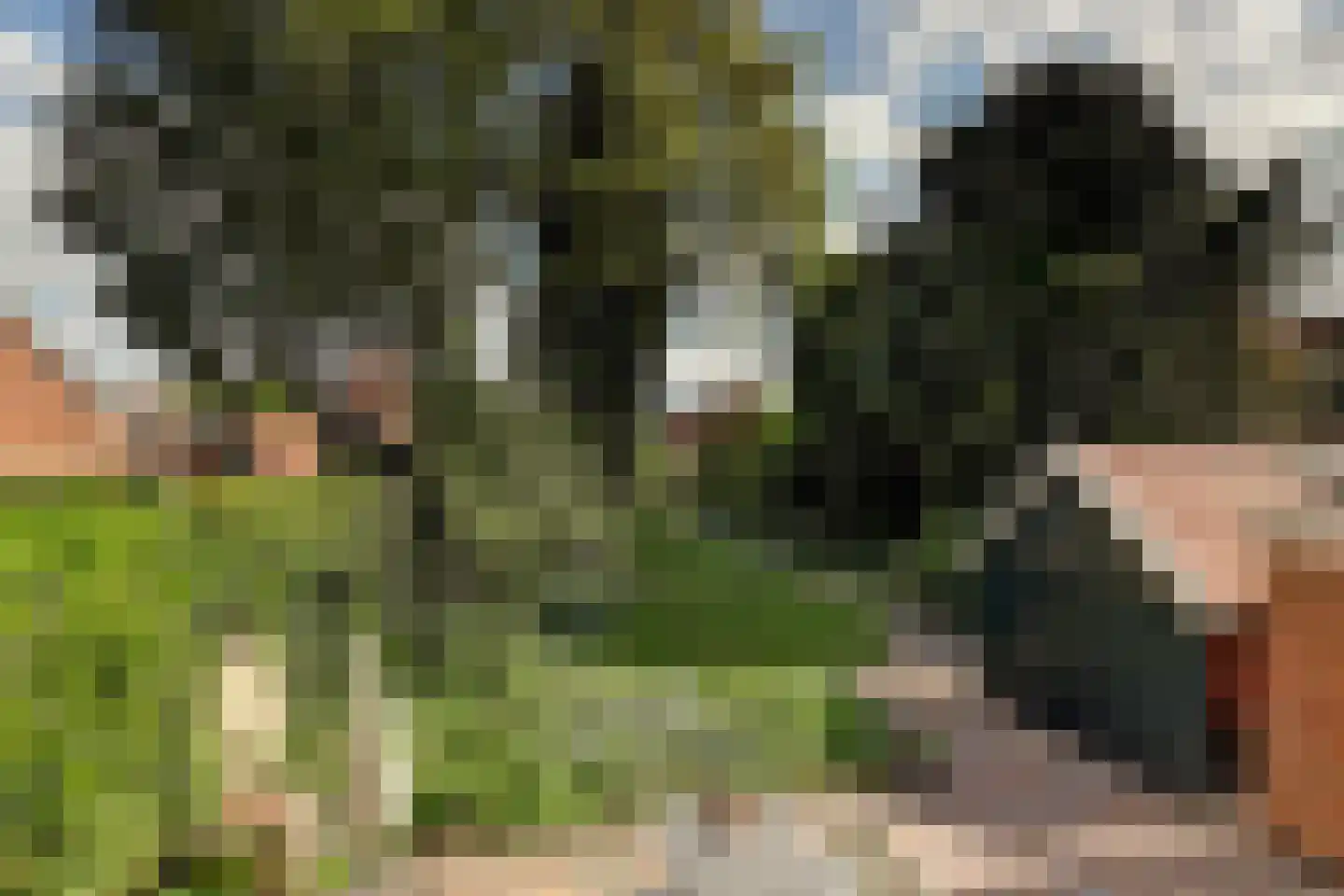 Noard 72 Workum thumbnail 25