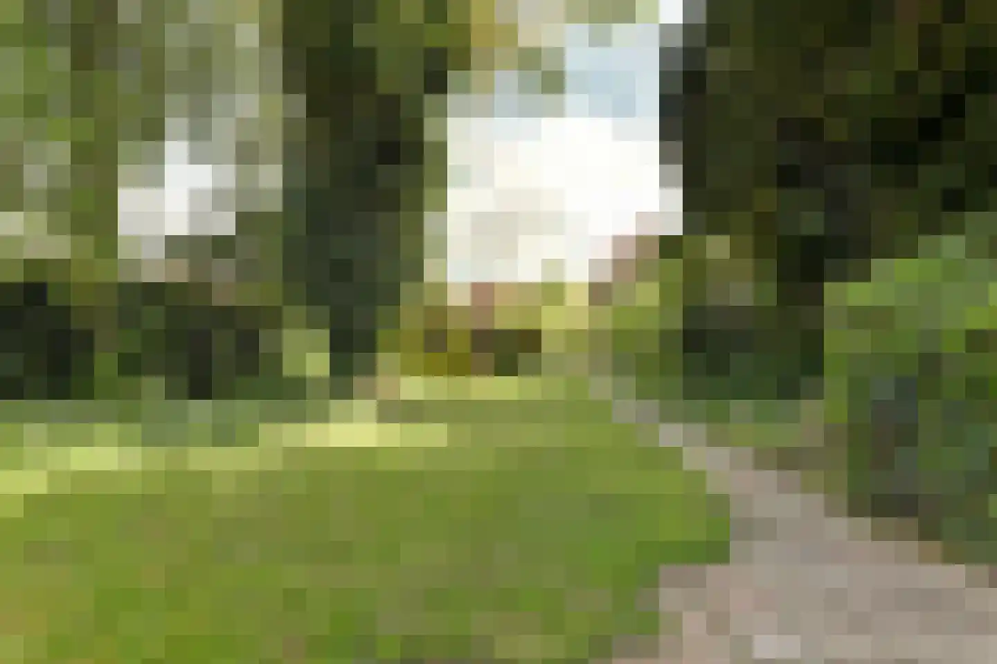 Noard 72 Workum thumbnail 32
