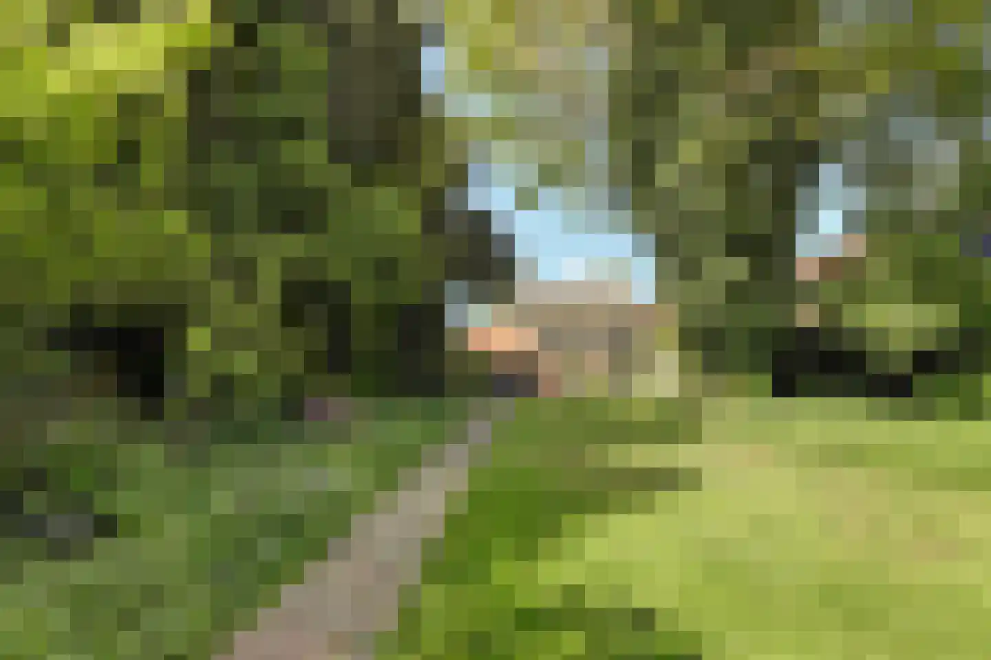 Noard 72 Workum thumbnail 34