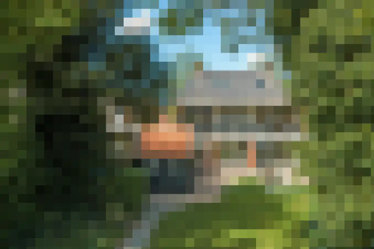Noard 72 Workum thumbnail 37