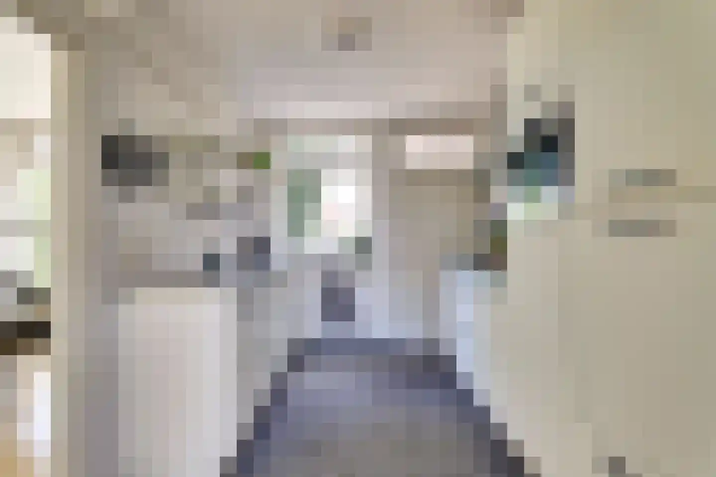 Noard 72 Workum thumbnail 4