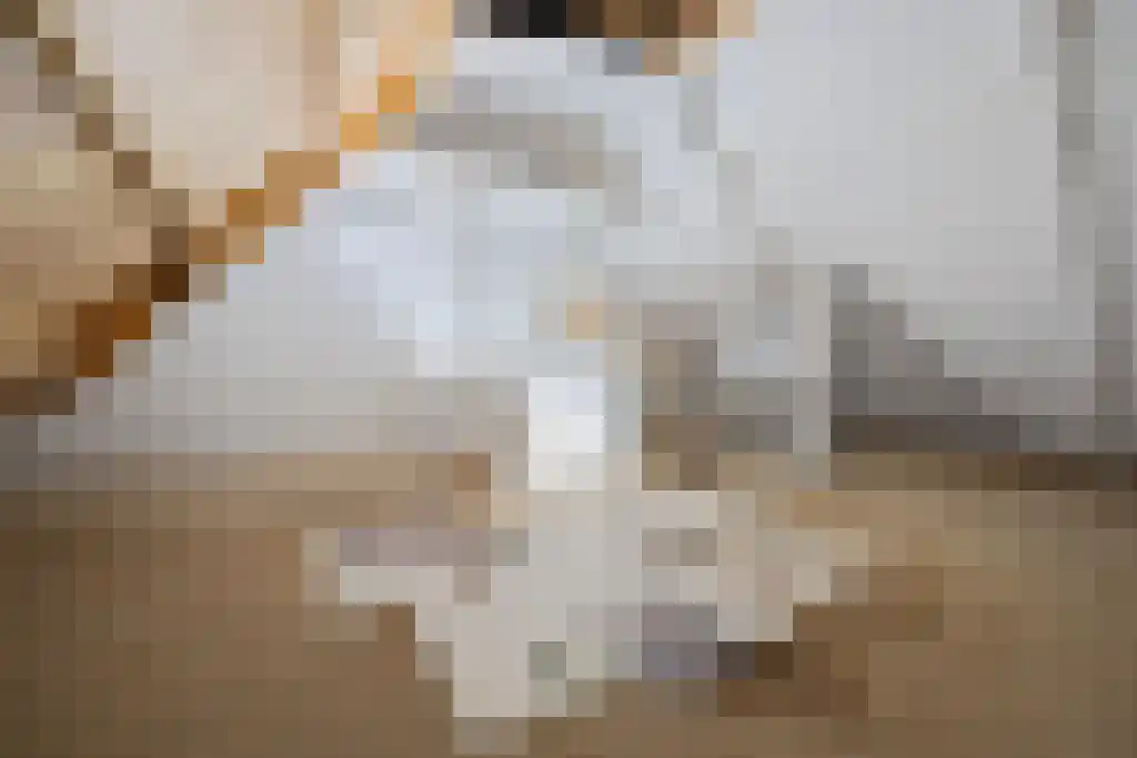 Noardein 10 Oppenhuizen thumbnail 23