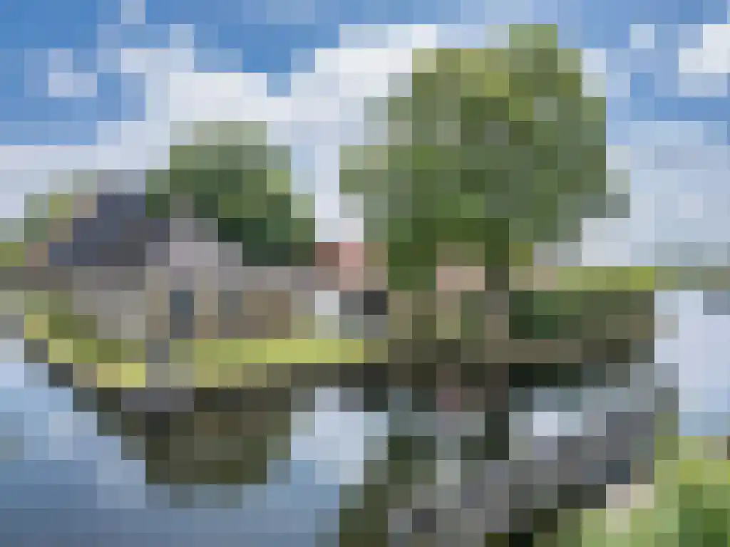 Noardein 10 Oppenhuizen thumbnail 5