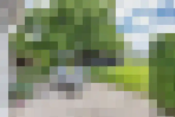 Noardein 16 Oppenhuizen thumbnail 10