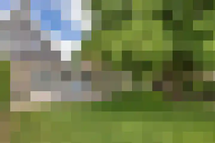 Noardein 16 Oppenhuizen thumbnail 11