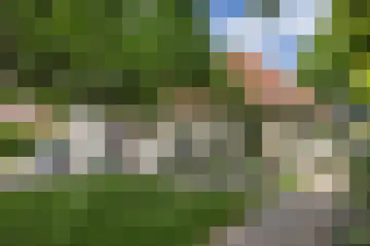 Noardein 16 Oppenhuizen thumbnail 12