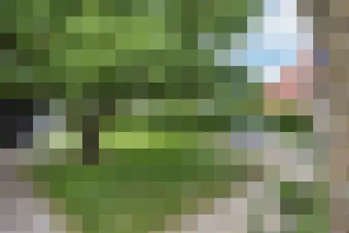 Noardein 16 Oppenhuizen thumbnail 13