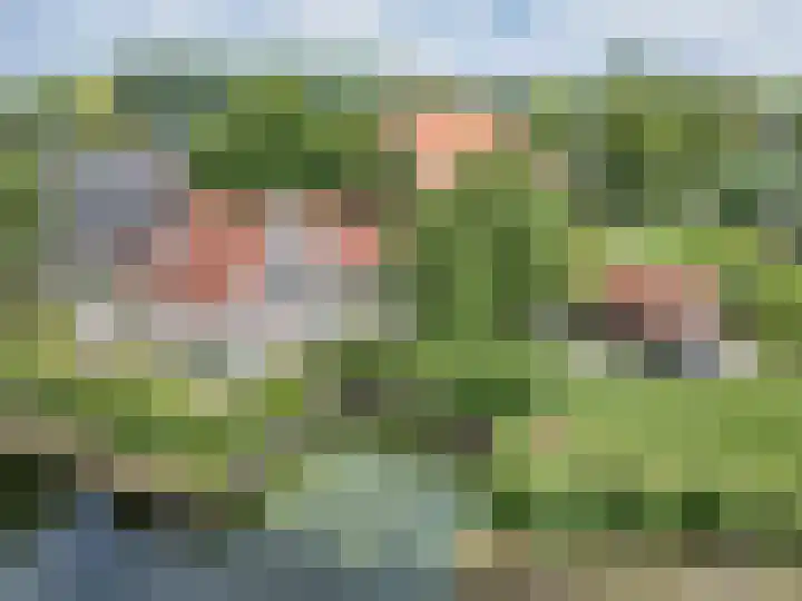 Noardein 16 Oppenhuizen thumbnail 15