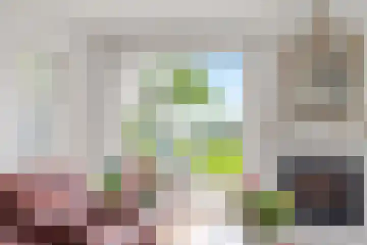 Noardein 16 Oppenhuizen thumbnail 25