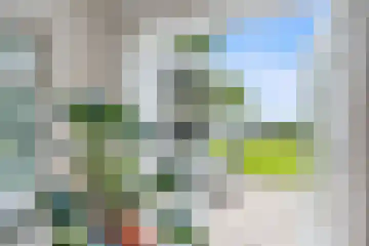 Noardein 16 Oppenhuizen thumbnail 26