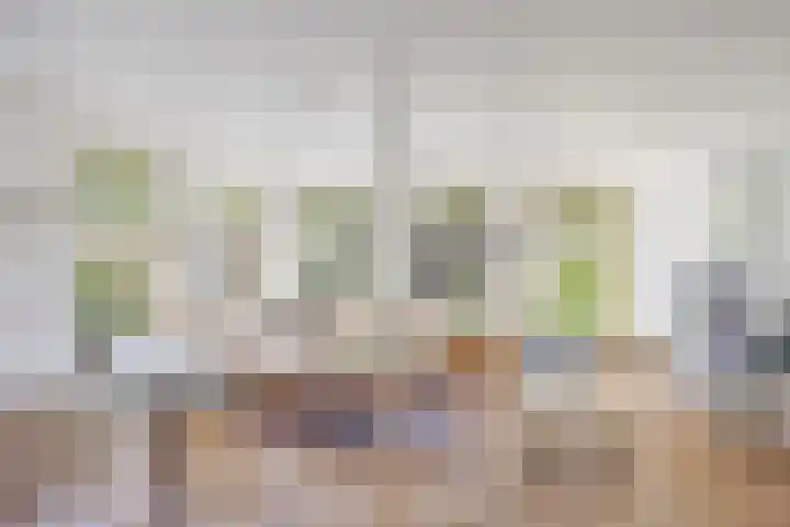 Noardein 16 Oppenhuizen thumbnail 35