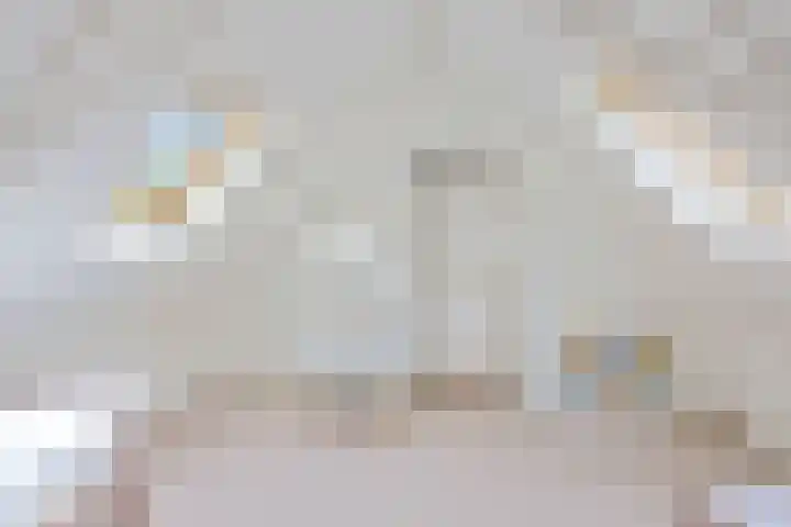 Noardein 16 Oppenhuizen thumbnail 41