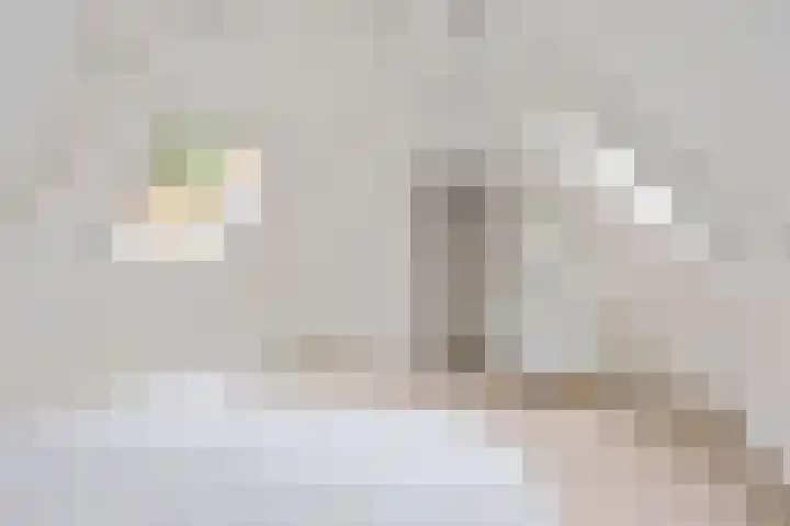 Noardein 16 Oppenhuizen thumbnail 44