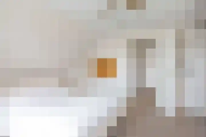 Noardein 16 Oppenhuizen thumbnail 48