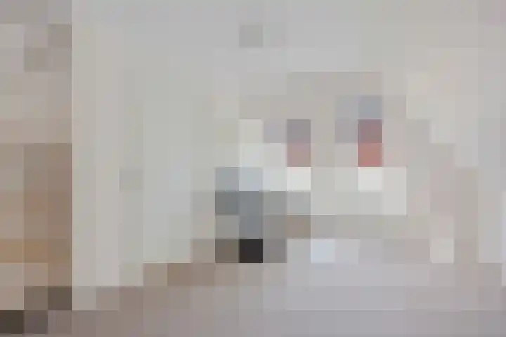 Noardein 16 Oppenhuizen thumbnail 51