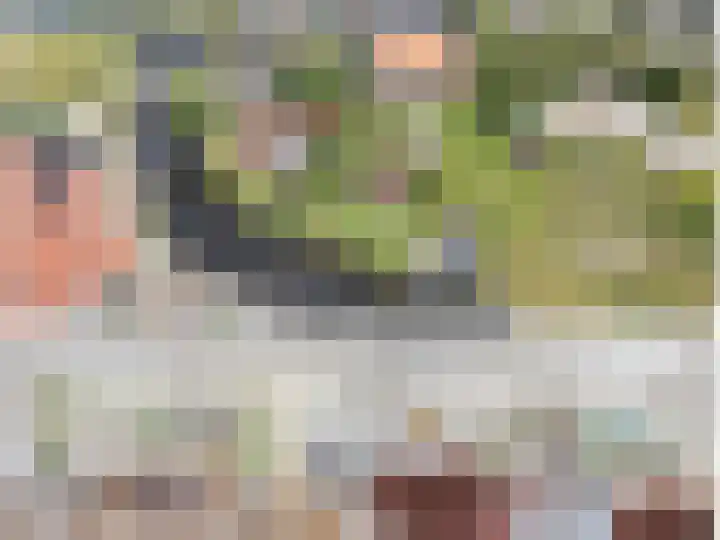 Noardein 16 Oppenhuizen thumbnail 54