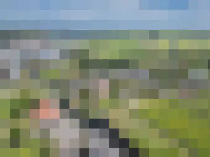 Noardein 16 Oppenhuizen thumbnail 56