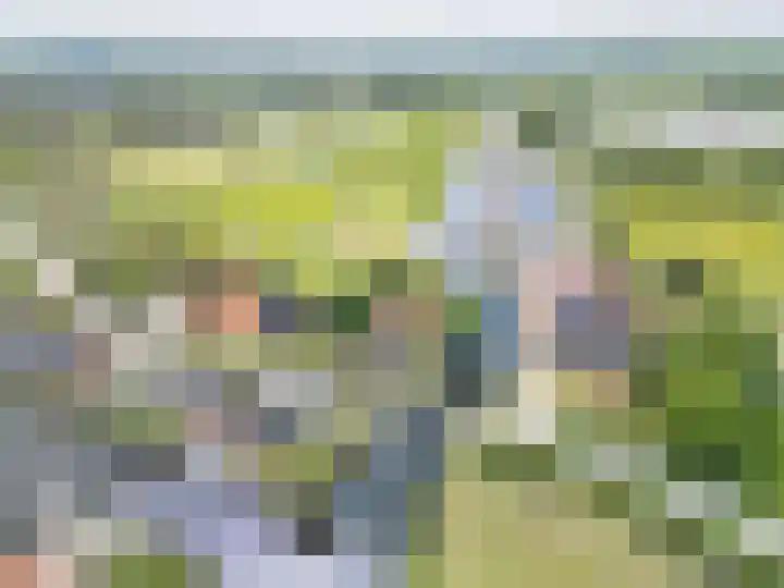 Noardein 16 Oppenhuizen thumbnail 58
